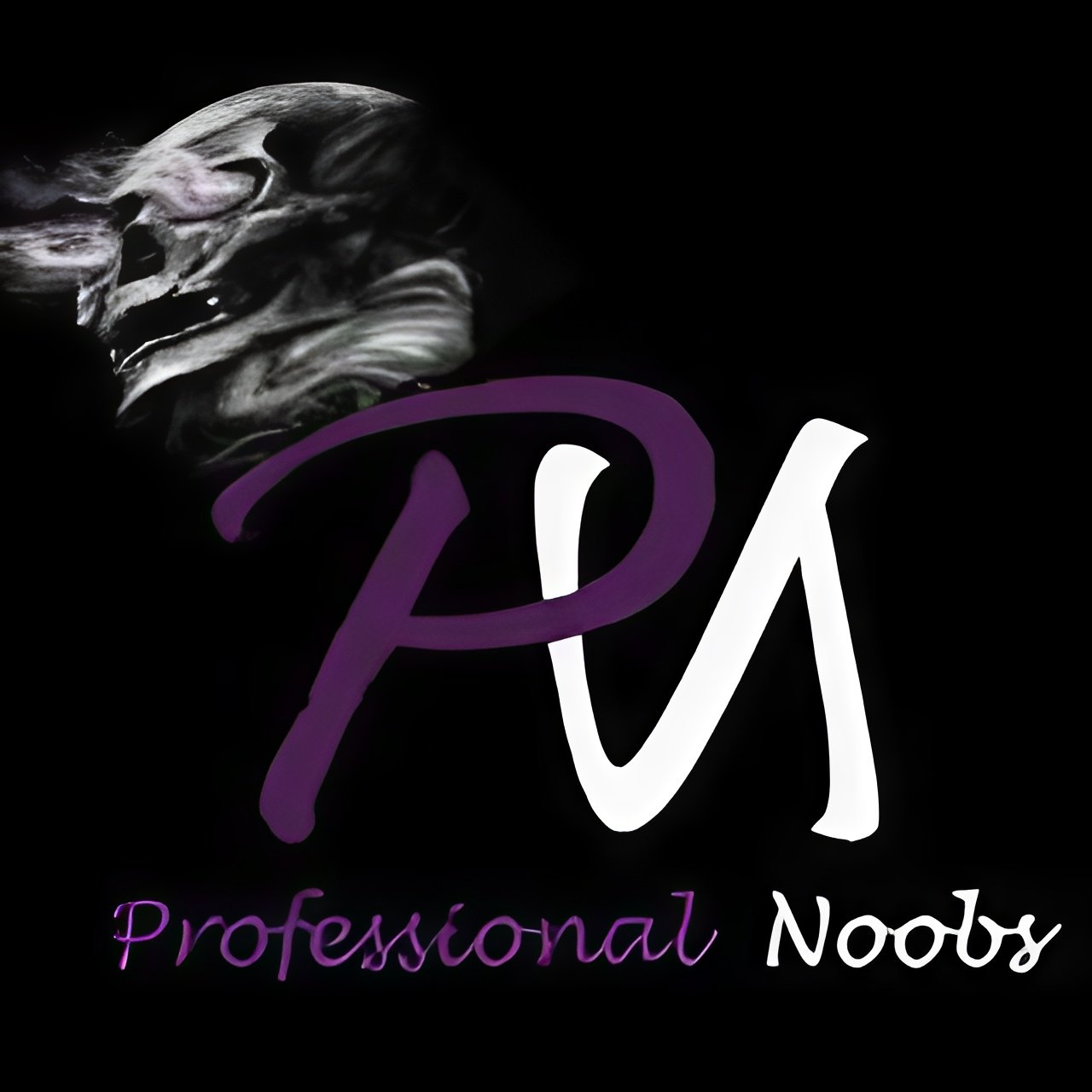 Professional Noobs Image 1